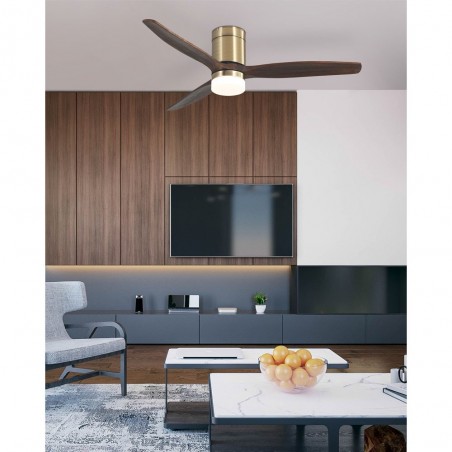 Ventilador de techo Led Aguilón (18W)