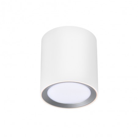 Plafón de techo LED Landon Long Smart (8W)