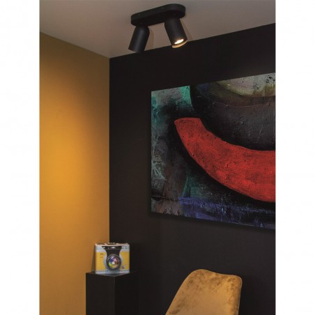 Regleta de techo Punch (2 luces)