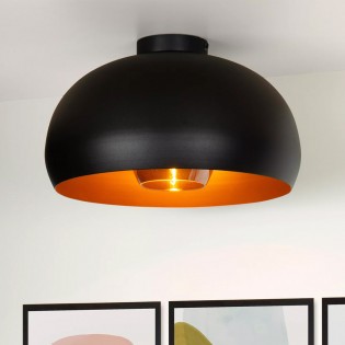 Plafón de techo Sharan