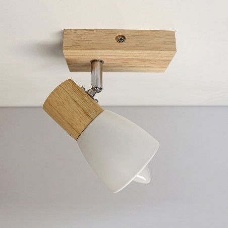 Foco de techo orientable Lan