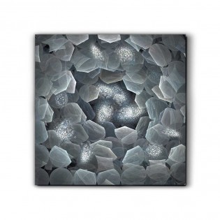 Cuadro fotografía Polaris