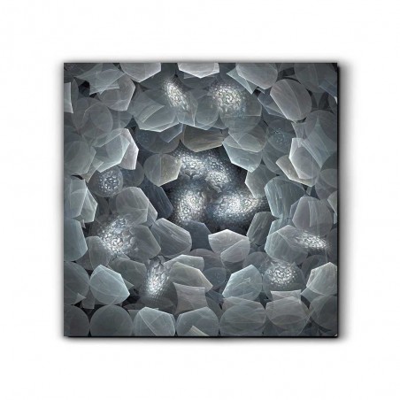 Cuadro fotografía Polaris