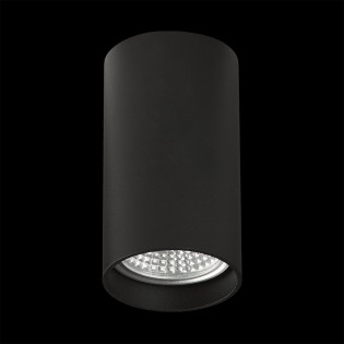 Foco de techo Zoom 10