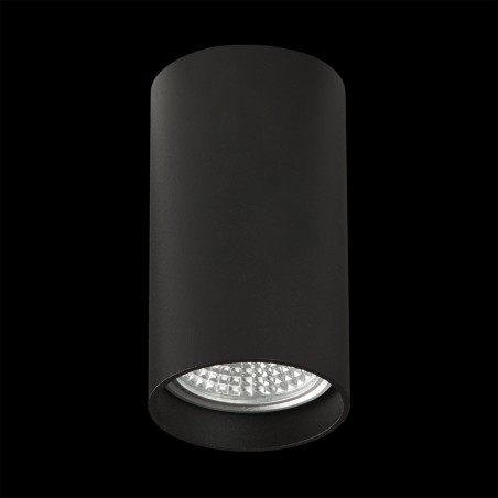 Foco de techo Zoom 10
