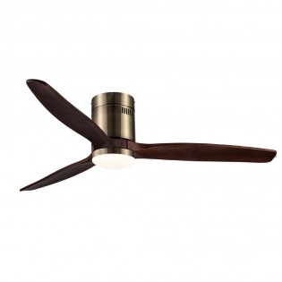 Ventilador de techo LED Won...