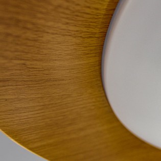 Plafón de techo LED Lili (60W)