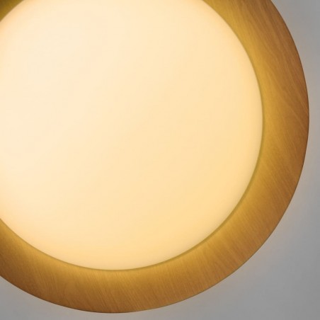 Plafón de techo LED Lili (60W)
