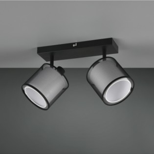 Regleta de techo Burton (2 Luces)