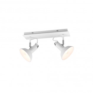 Regleta de techo Roxie (2 luces)