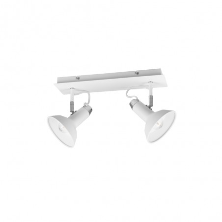 Regleta de techo Roxie (2 luces)