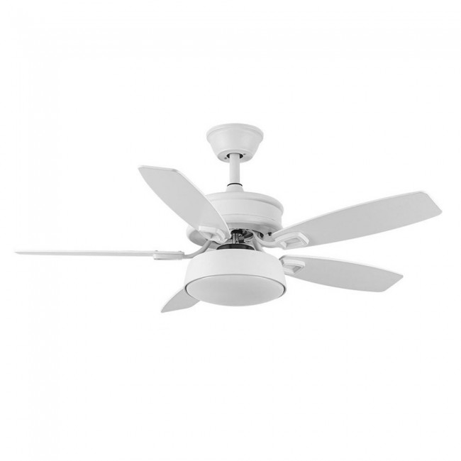 Ventilador de techo Led Braw CCT (30W)