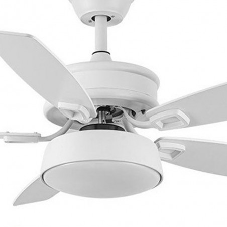 Ventilador de techo Led Braw CCT (30W)