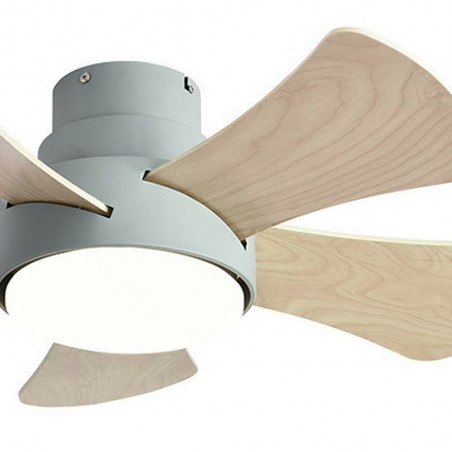 Ventilador de techo Led Gregario CCT (25W)