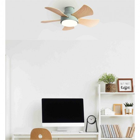 Ventilador de techo Led Gregario CCT (25W)