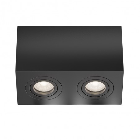 Plafón de techo Atom (2 luces)