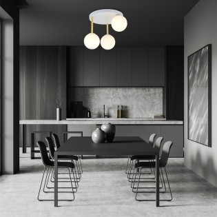 Plafón de techo Telpa II...