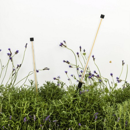 Baliza estaca de exterior LED Bambou (8W)