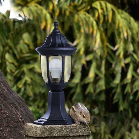 Sobremuro de exterior Angelica