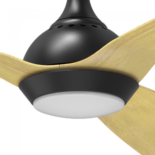 Tulipa ventilador Corus