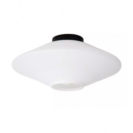 Plafón de techo Trevor