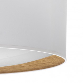 Plafón de techo LED Tania...