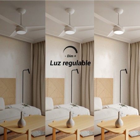 Ventilador de techo LED Robb CCT (24W)
