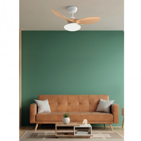 Ventilador de techo LED Paramo CCT (36W)