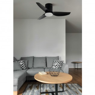 Ventilador de techo LED Borax CCT (20W)