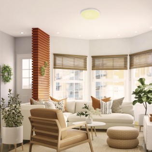 Plafón de techo LED Ara...