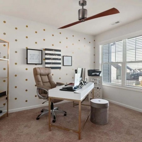 Ventilador de techo Ferron