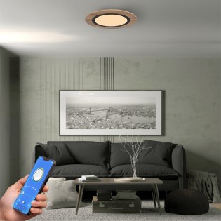Plafón de techo LED Hasbi CCT Smart (20W)