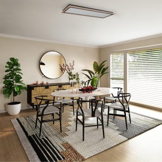 Plafón de techo LED Hasbi...