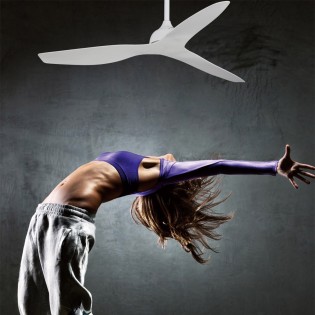 Ventilador de techo Keanu