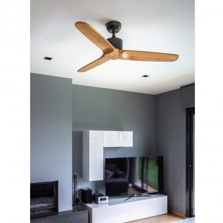 Ventilador de techo Etesian