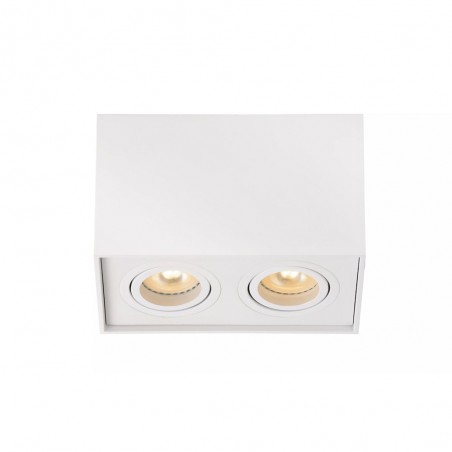 Plafón de techo Tube II (2 luces)