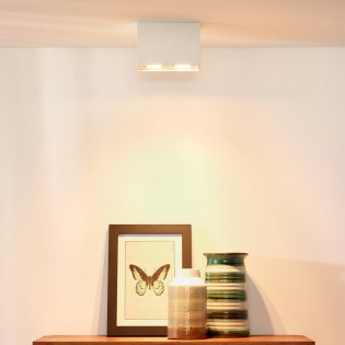 Plafón de techo Tube II (2 luces)