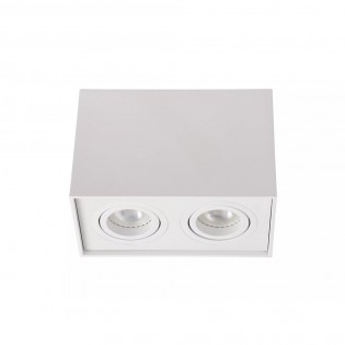 Plafón de techo Tube II (2 luces)