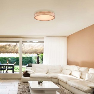 Plafón de techo LED Rainer...