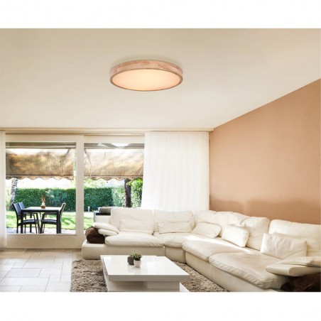 Plafón de techo LED Rainer CCT (48W)