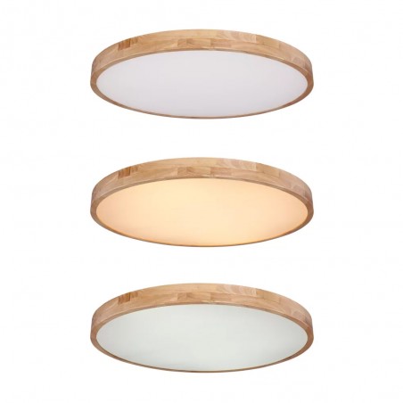 Plafón de techo LED Rainer CCT (60W)