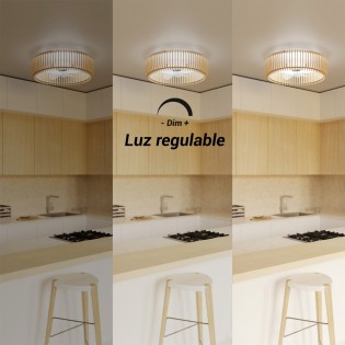 Ventilador de techo LED Daya CCT Dim (28W)