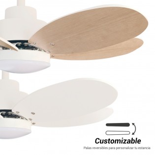 Ventilador de techo LED Rainbow S CCT Dim (18W)