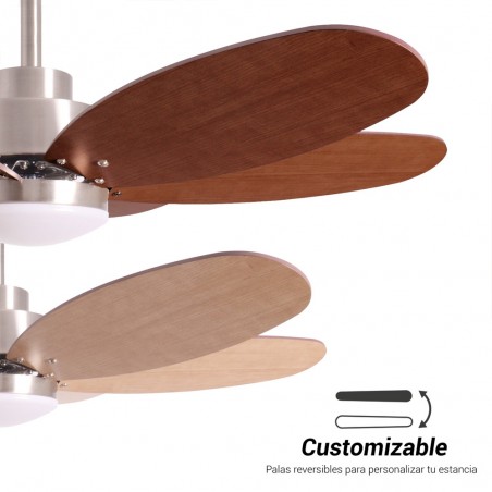 Ventilador de techo LED Rainbow M CCT Dim (18W)