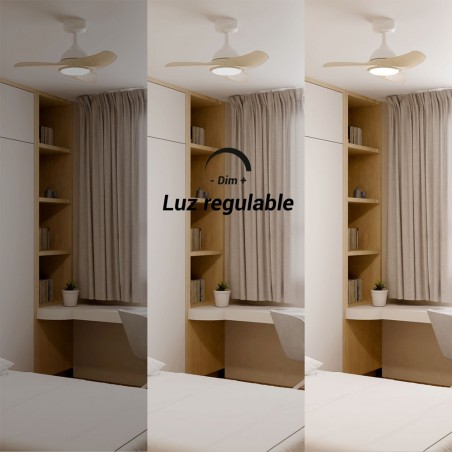 Ventilador de techo LED Diehl S CCT Dim (21W)