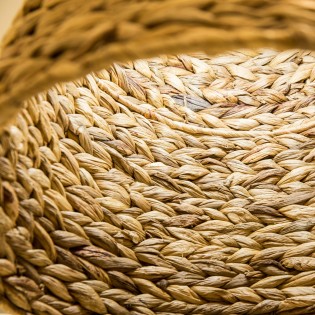 Pantalla de lirio acuático Camal