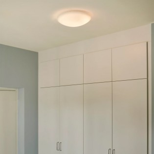 Plafón de techo Standard 38