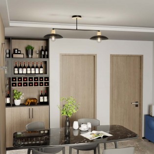 Lámpara de techo Briana Negro (2 luces)