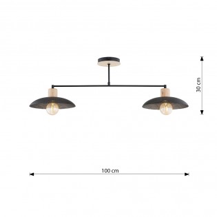 Lámpara de techo Briana Negro (2 luces)