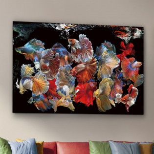 Fotografía impresa Peces Siam